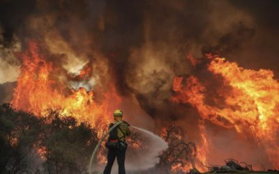 FranciaOggi Week End: Incendi nel sud della Francia – Cannes: Spiagge Sotto Chiave – Arles, ritorna la raccolta rifiuti –